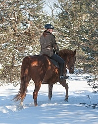 Winter Riding English Vertical