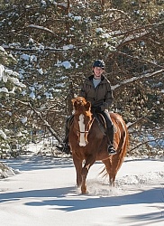 Winter Riding English Vertical