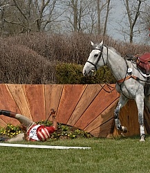 Eventing fall