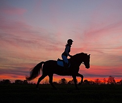 Silhouette of English Rider