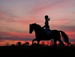 Silhouette of English Rider