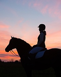 Silhouette of English Rider