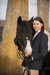 Mystical Meadows Gypsy Vanners Gypsy Vanner
