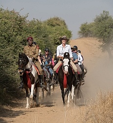 On the Trails in India