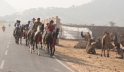 Riding Through The Pushkar Camel Fair