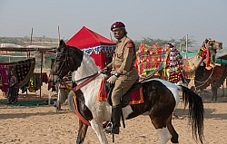 Riding Through The Pushkar Camel Fair