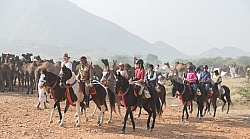 Riding Through The Pushkar Camel Fair