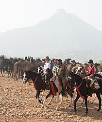 Riding Through The Pushkar Camel Fair