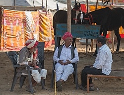 The Camel Festival in Pushkar