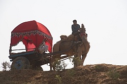 The Camel Festival in Pushkar