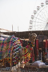 The Camel Festival in Pushkar