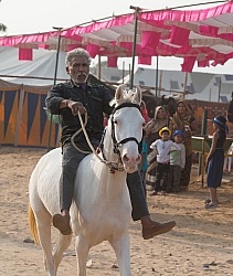 The Camel Festival in Pushkar