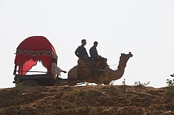 The Camel Festival in Pushkar