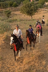 On the Trails in India
