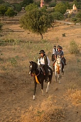 On the Trails in India