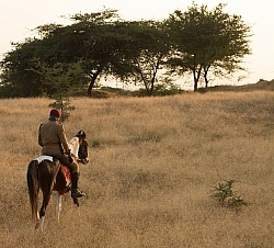 On the Trails in India