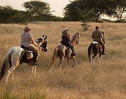 On the Trails in India