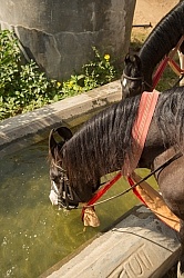 Riding Through the Villages in india