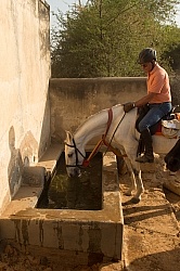On the Trails in India