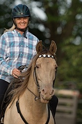 Tennessee Walker Portrait