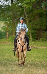 Tennessee Walker Under Saddle