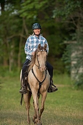 Tennessee Walker Under Saddle