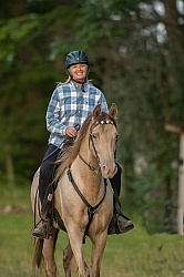 Tennessee Walker Under Saddle