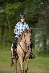 Tennessee Walker Under Saddle