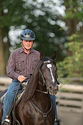 Tennessee Walker Under Saddle
