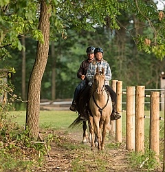Tennessee Walker Under Saddle