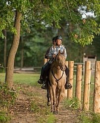Tennessee Walker Under Saddle