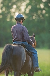 Tennessee Walker Under Saddle