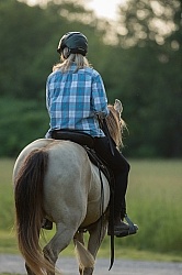 Tennessee Walker Under Saddle