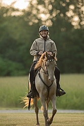 Tennessee Walker Under Saddle