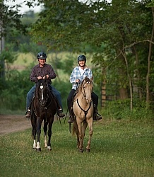 Tennessee Walker Under Saddle