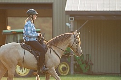 Tennessee Walker Under Saddle