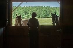 Home Horse Keeping General