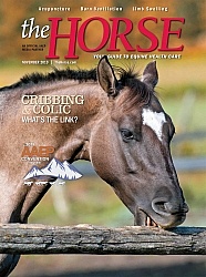 The Horse November 2019