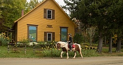 Fall colors  with The Vermont Icelandic Horse Farm