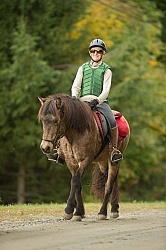 Fall colors  with The Vermont Icelandic Horse Farm
