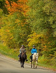 Fall colors  with The Vermont Icelandic Horse Farm