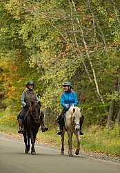 Fall colors  with The Vermont Icelandic Horse Farm