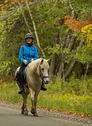 Fall colors  with The Vermont Icelandic Horse Farm
