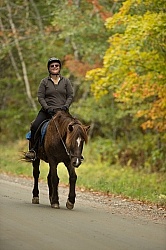 Fall colors  with The Vermont Icelandic Horse Farm
