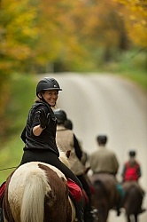 Fall colors  with The Vermont Icelandic Horse Farm