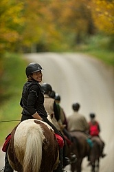 Fall colors  with The Vermont Icelandic Horse Farm