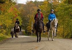 Vermont Icelandic Horse Farm