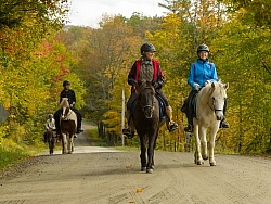 Vermont Icelandic Horse Farm