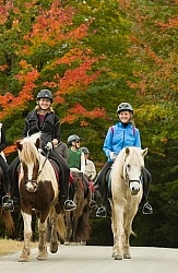 Vermont Icelandic Horse Farm
