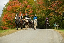 Vermont Icelandic Horse Farm
